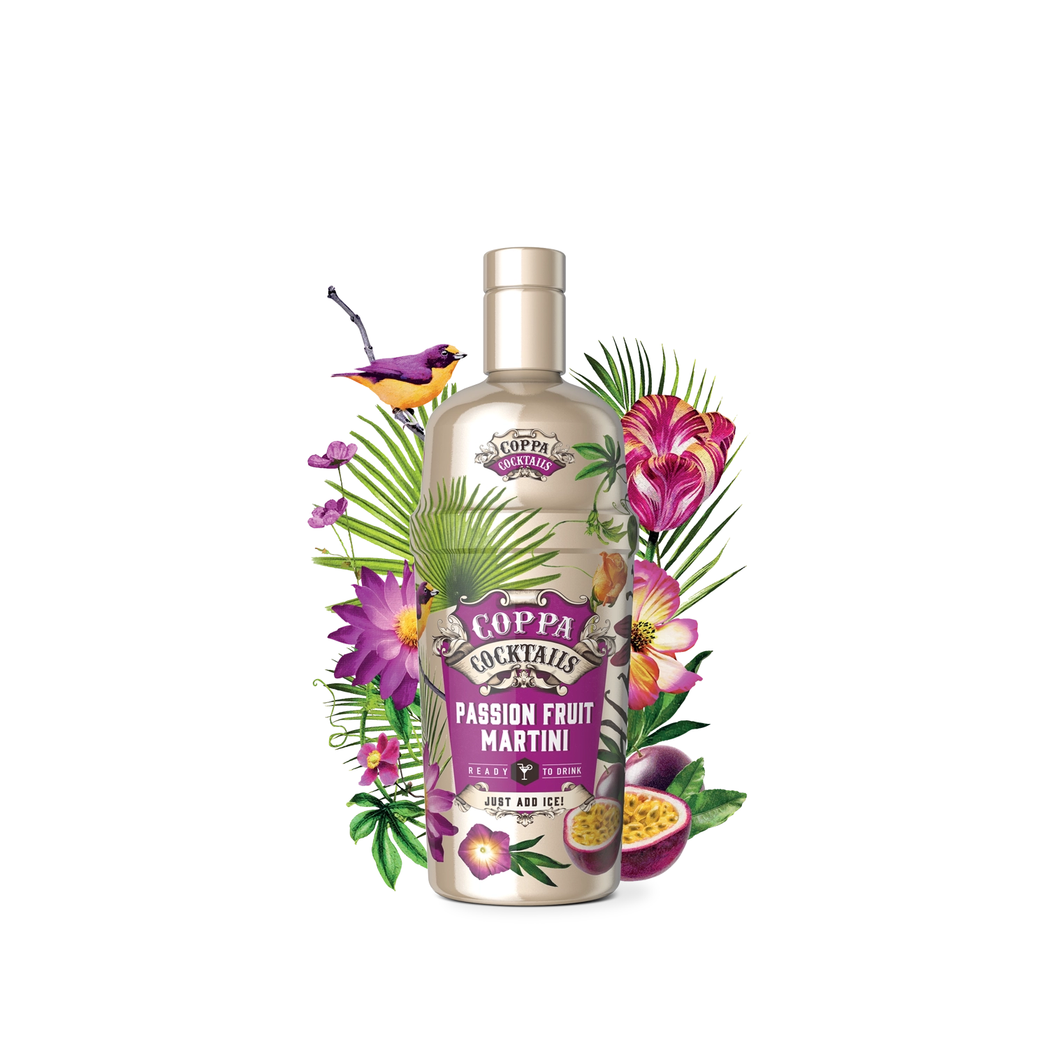 Coppa Cocktails Passion Fruit Martini - MBG Amber Room