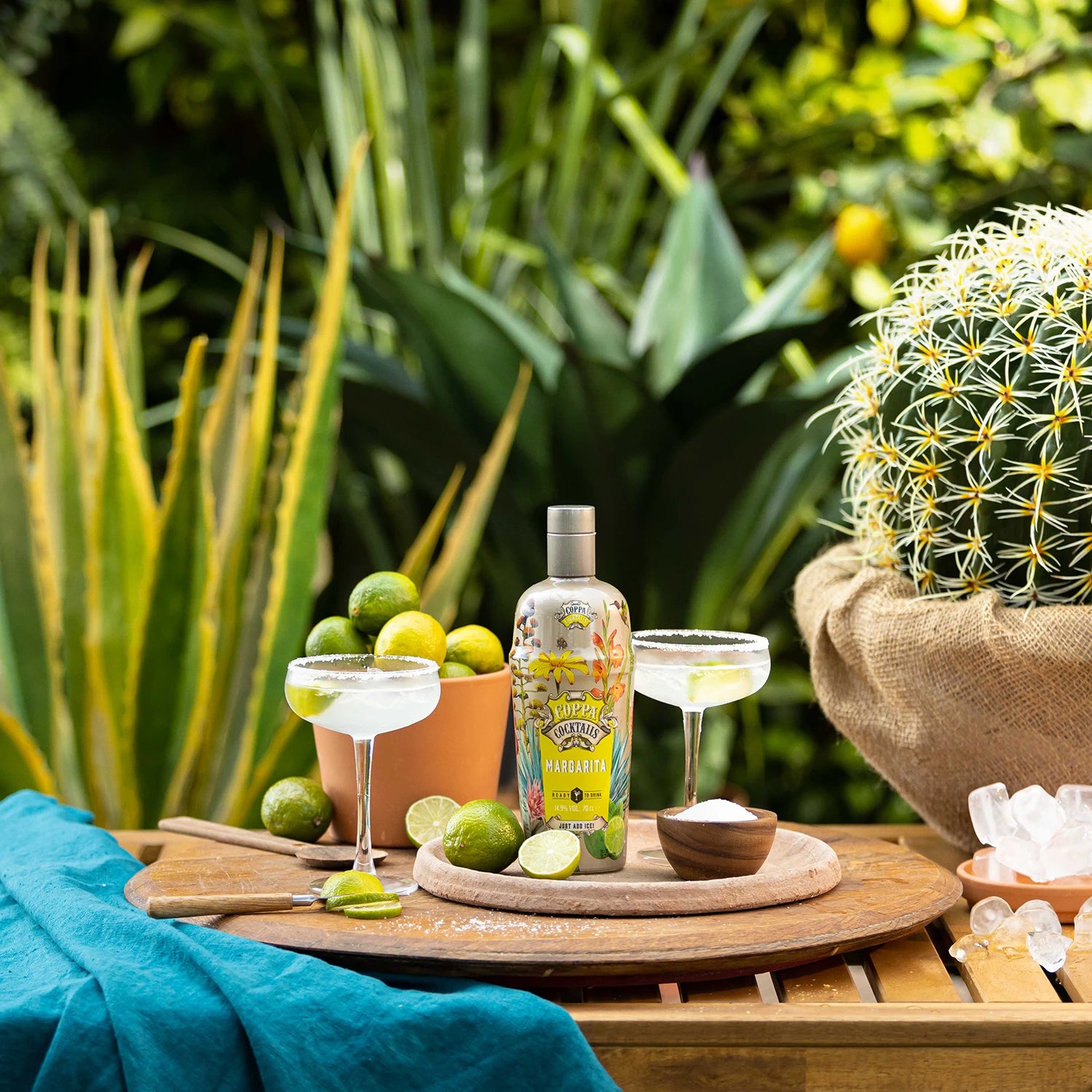 Coppa Cocktails Margarita - MBG Amber Room