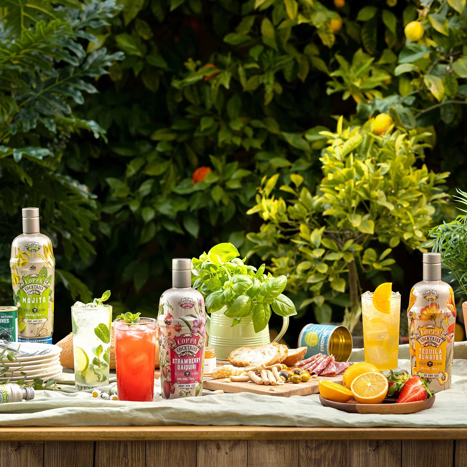 Coppa Cocktails Tequila Sunrise - MBG Amber Room