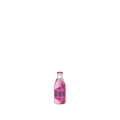 GOLDBERG INDIAN HIBISCUS TONIC 0.2L