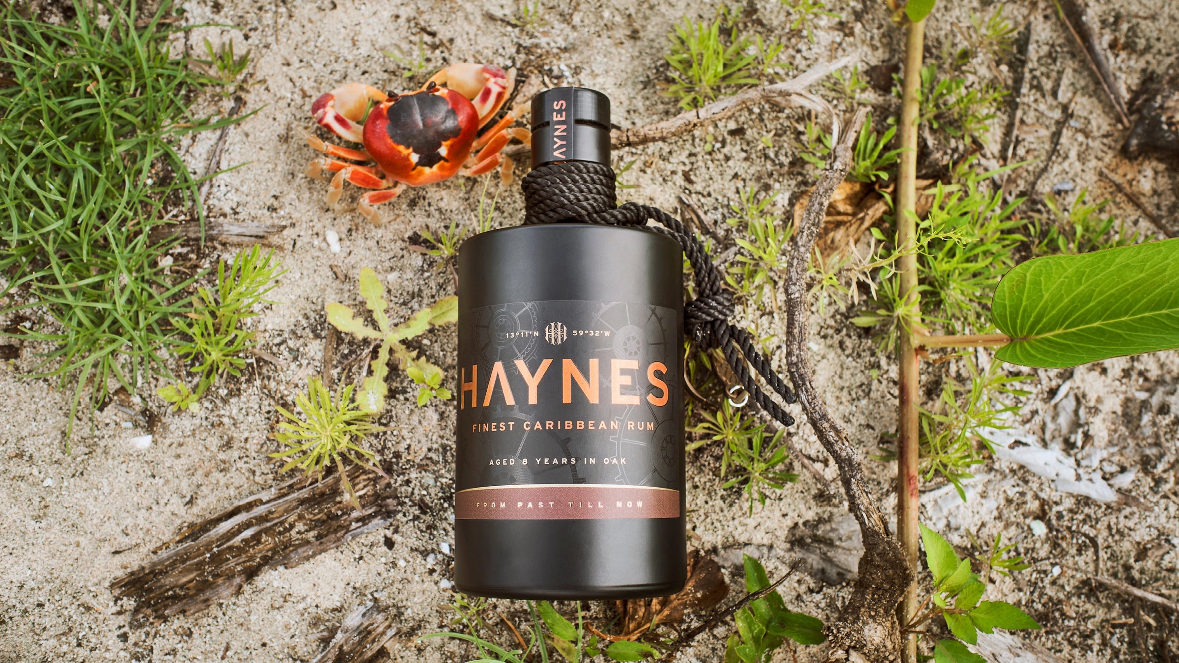 HAYNES Markenseite MBG Shop