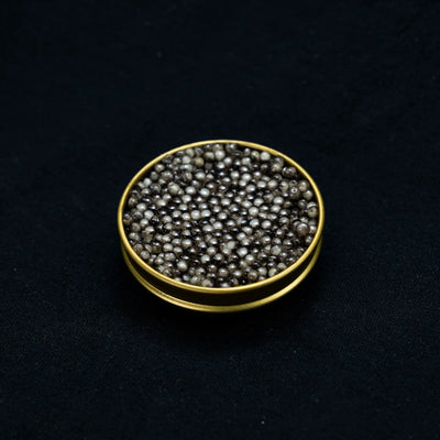 Noir Velvet Obsidian Beluga Caviar
