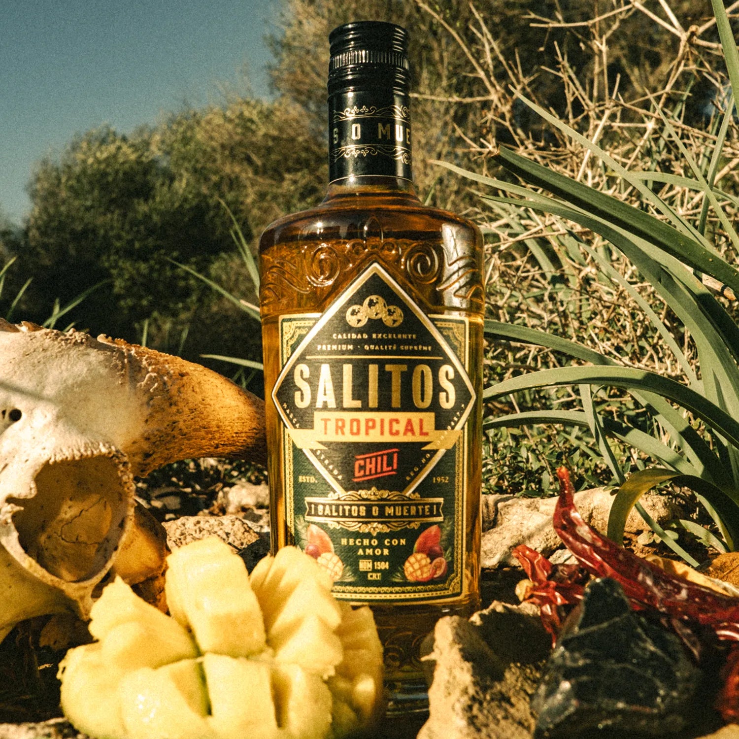 SALITOS TEQUILA MIX BUNDLE - MBG Amber Room