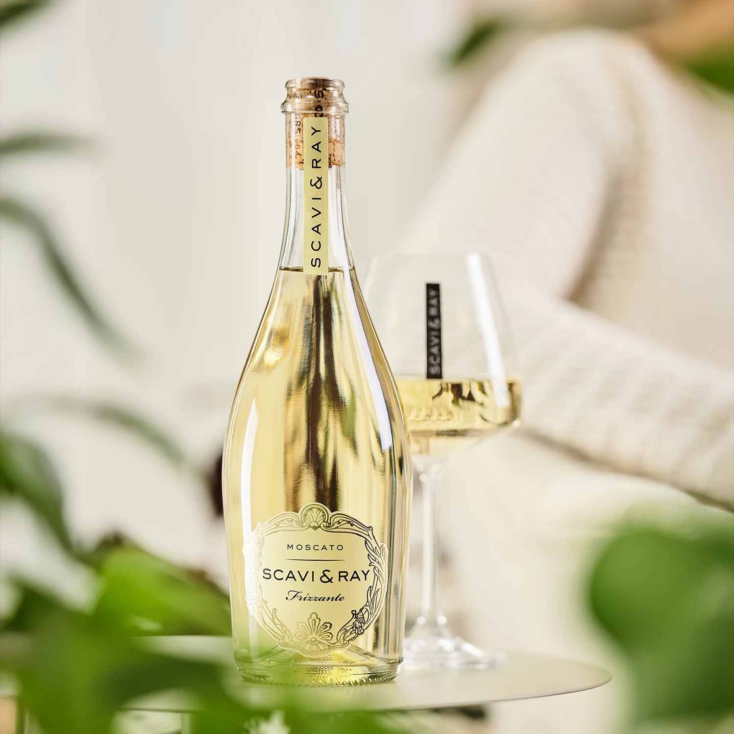 SCAVI & RAY 2er WAHLSET - MBG Amber Room