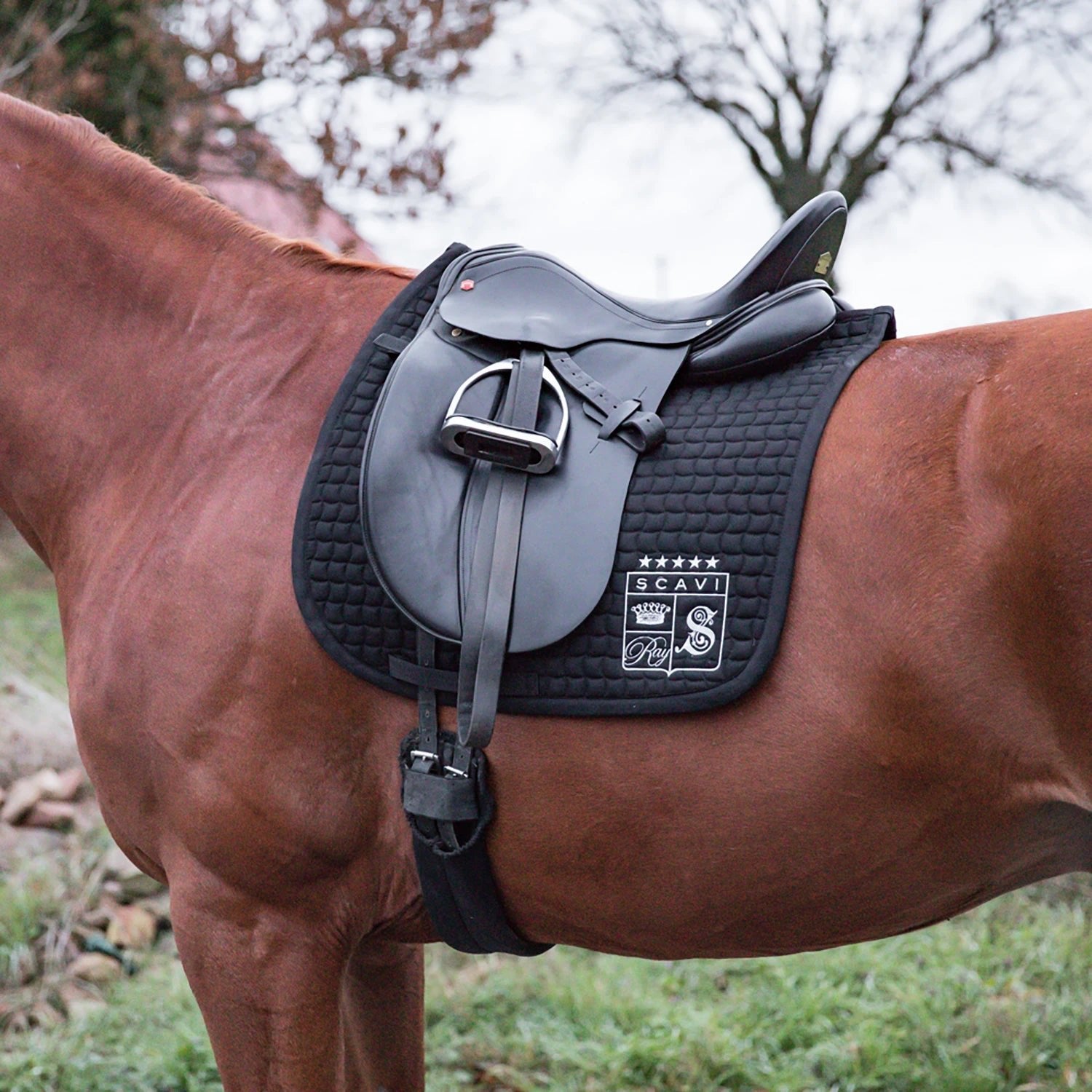 SCAVI & RAY X ESKADRON SCHABRACKE - MBG Amber Room