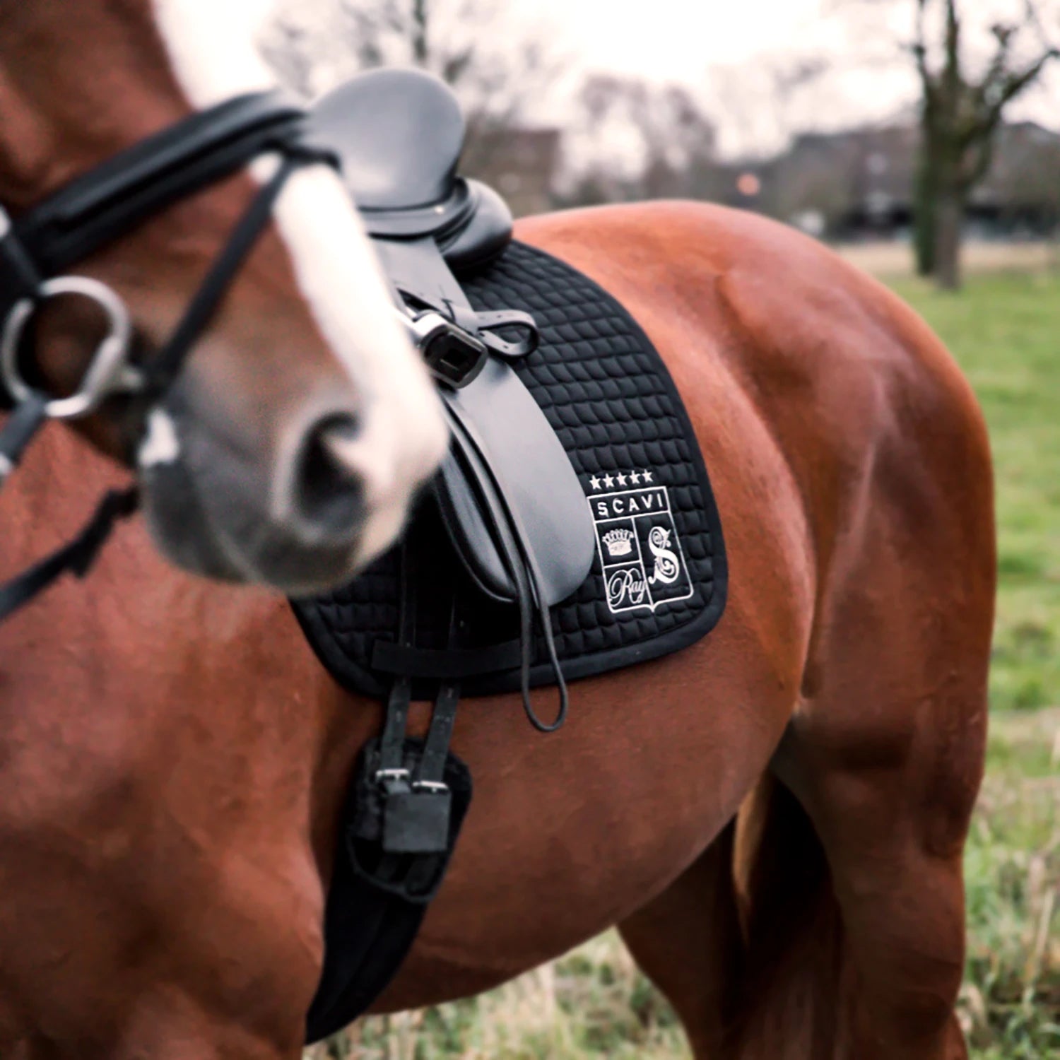 SCAVI & RAY X ESKADRON SCHABRACKE - MBG Amber Room