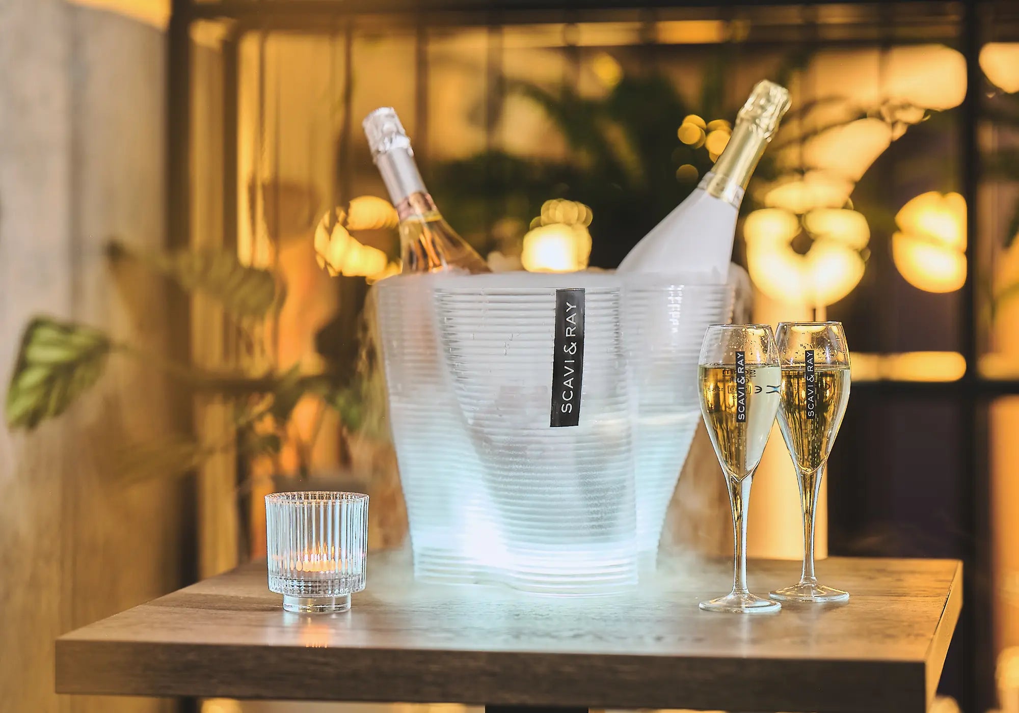 SCAVI & RAY ICE BUCKETS ELENORA