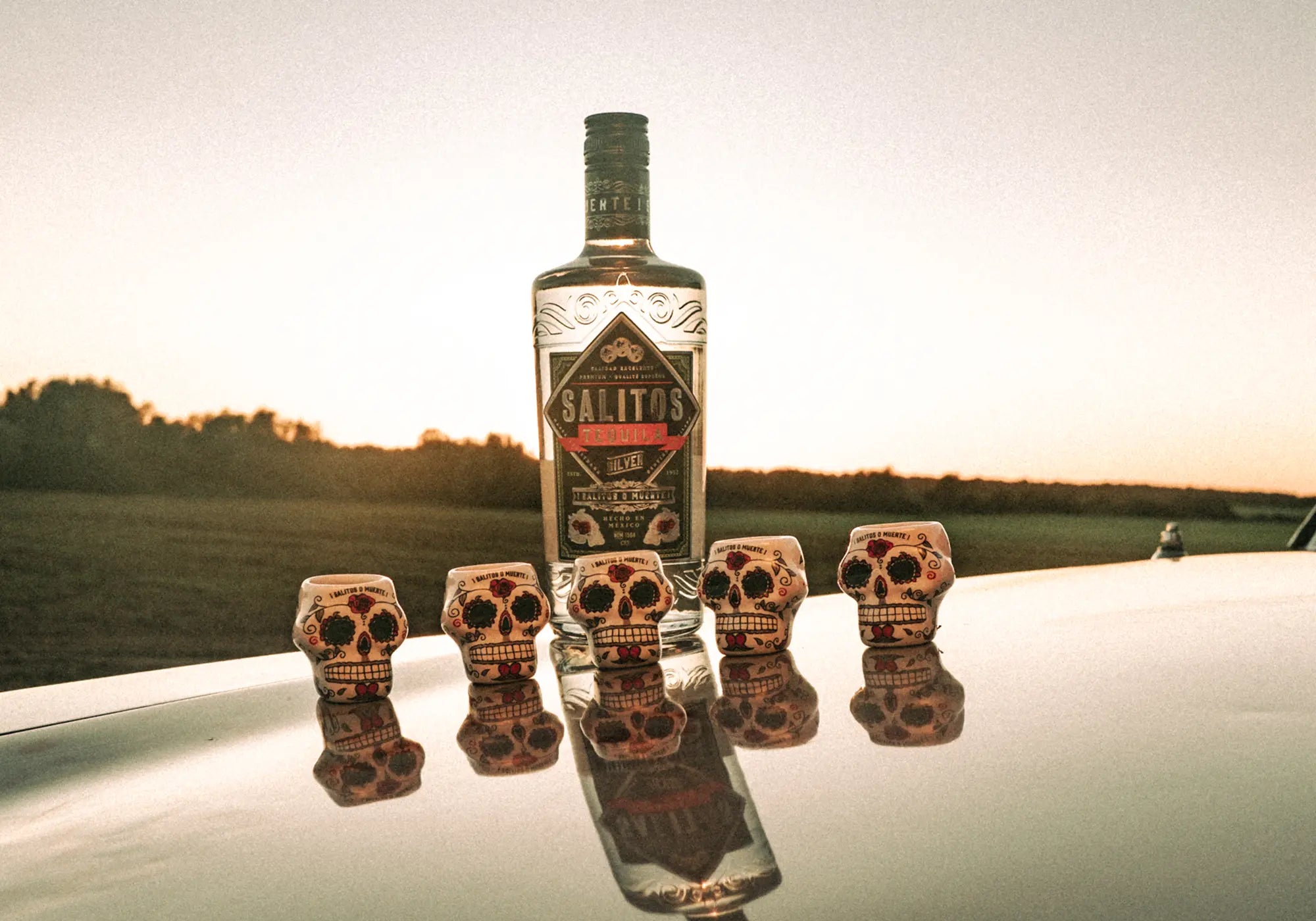 SALITOS TEQUILA SPIRITS SKULL SHOT CUPS