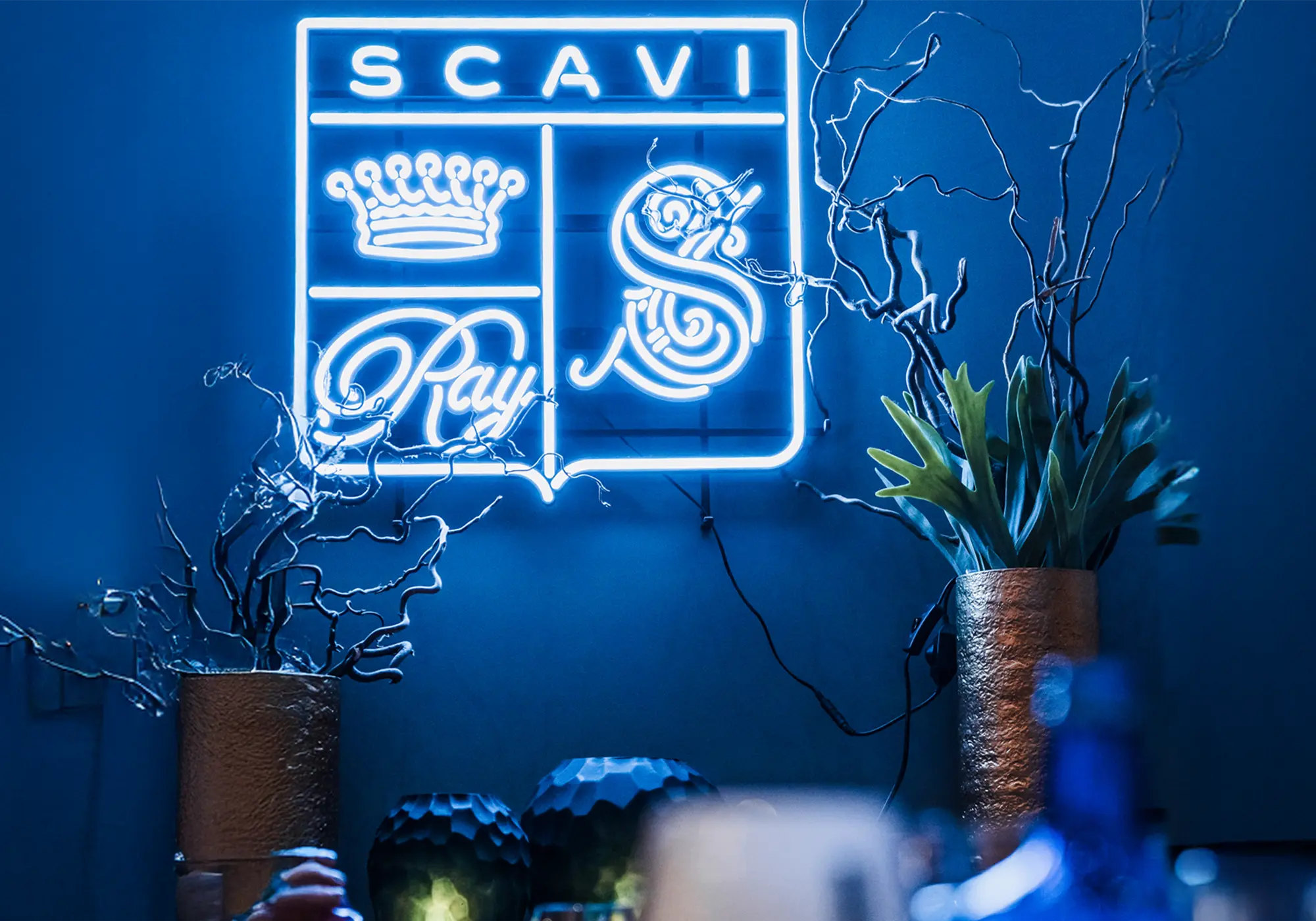 SCAVI & RAY Produktseite