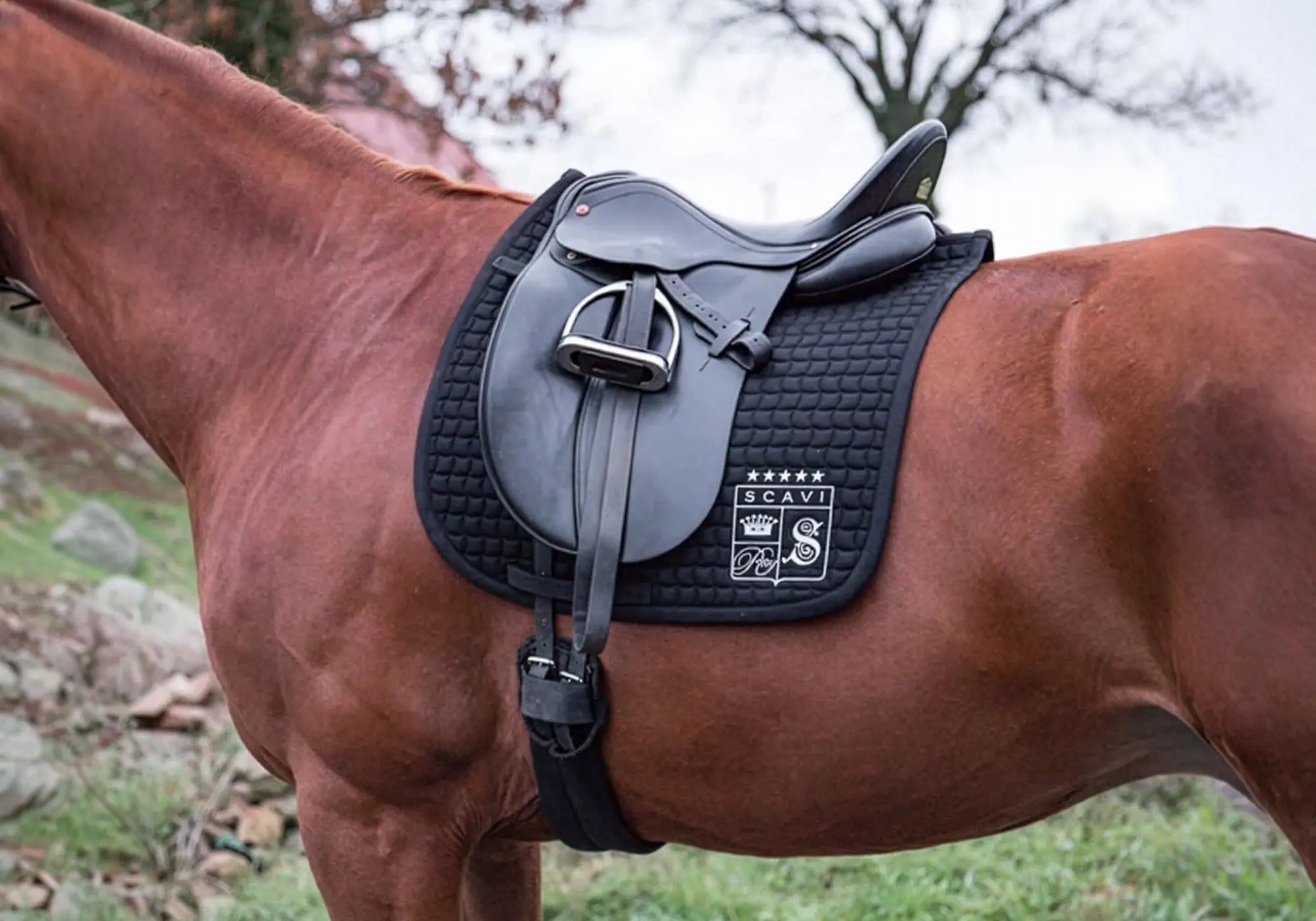 SCAVI & RAY X ESKADRON SCHABRACKE