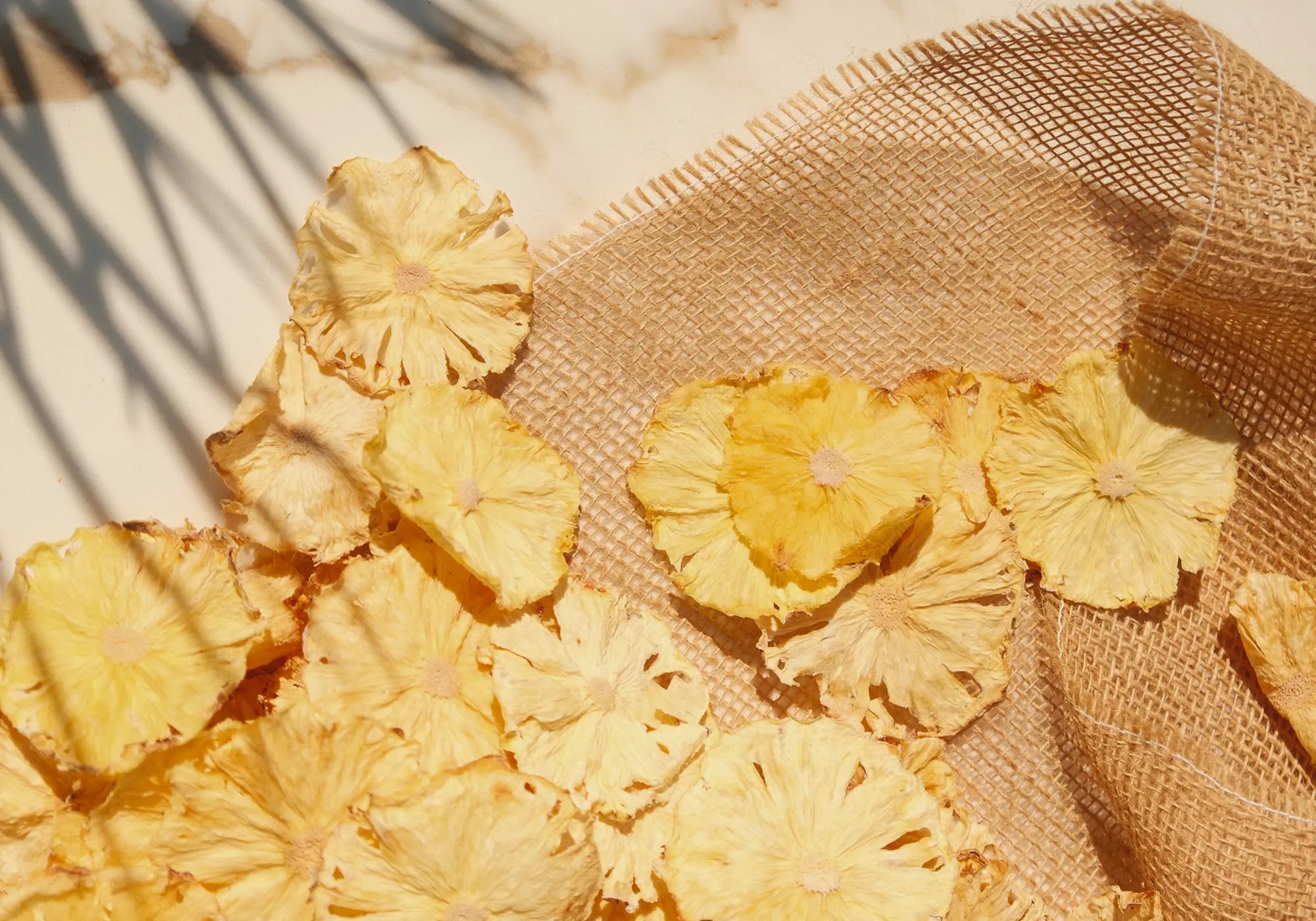 GOLDBERG SECRET GARDEN PINEAPPLE